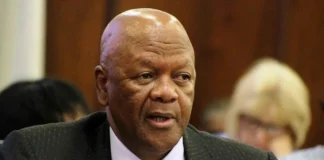 Radebe to testify at Luthuli inquest