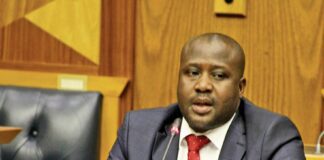 Bongani Bongo appears in court