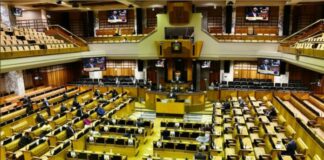 Parly's NCOP appoints select committees, sub-committees