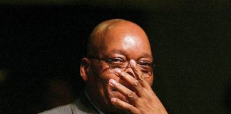 Jacob Zuma free