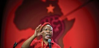 Malema election manifesto launch