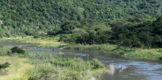 Two boys drown at Limpopo river