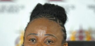 Busisiwe Mkhwebane ConCourt