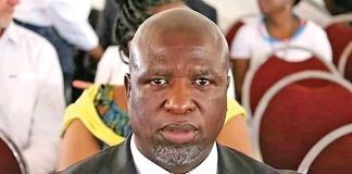 Lekganyane to chair committee probing Mkhwanazi's claims