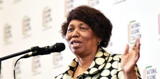 Motshekga matric results