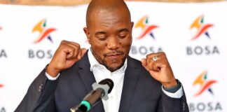 BOSA teams up with seven political parties for upcoming elections