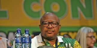 ANC boss Fikile Mbalula