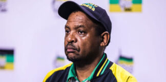 'Panyaza Lesufi expected to cooperate in drug syndicate probe'