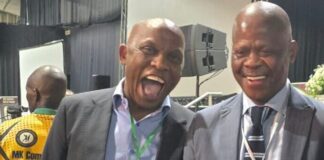 'Mazolman', 'Joe Ferrari' put in bid to buy MaMkhize’s club