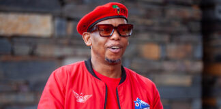 Mthethwa blasts McKenzie's art clusters project