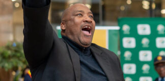 Gayton McKenzie's court application succeeds
