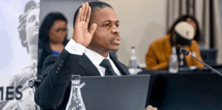 Emoji expert Vincent Mello grilled on qualifications at tribunal