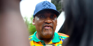 Public Protector to conclude Gayton McKenzie probe next month 