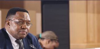 Fannie Masemola takes the stand